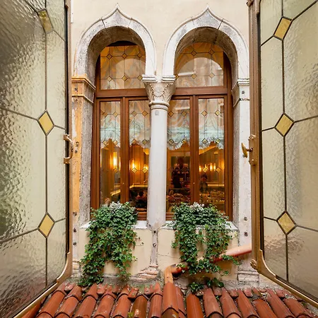 Antico Doge - A Member Of Elizabeth Group 3*